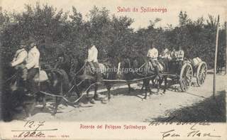 Poligono di Spilimbergo 1904